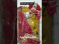 Bridal dress packing/ Bridal trousseau packing #shorts