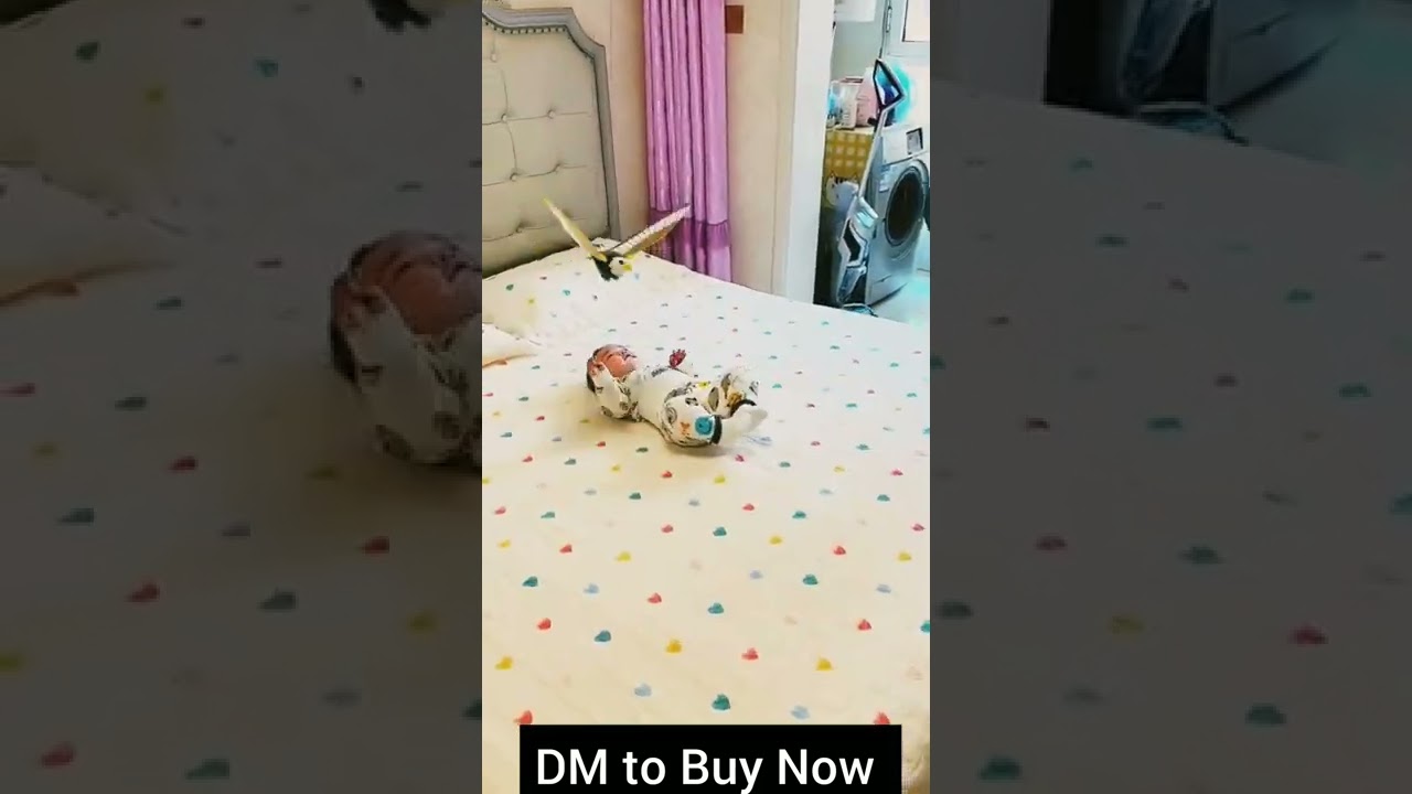 Electric Flying Bird Toy with Hanging Wire Automatic for Celling 