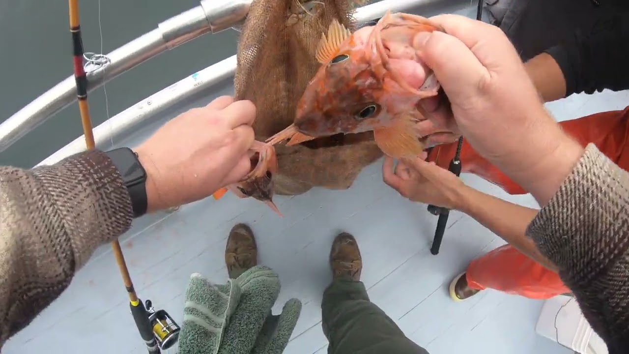 Rock Fishing Outta Half Moon Bay 2022