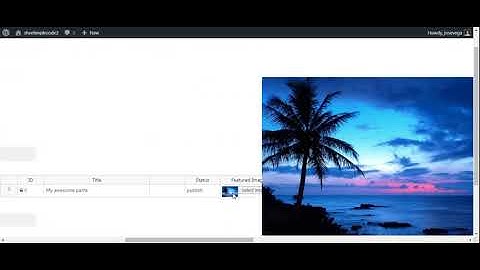How to edit implecode products in a spreadsheet