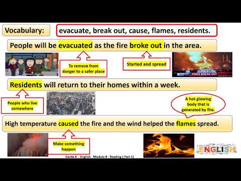Grade 8   English    Module 8  Reading   A news article 1