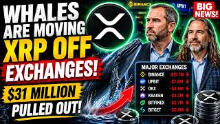 XRP News TODAY: Whales Pull $31M Off Exchanges as XRP Nears Major Breakout 🚨📈 Us Government To Hold Xrp Massive 13 60 Breakout