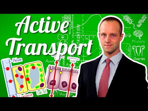 Video: Koju energiju zahtijeva aktivni transport?
