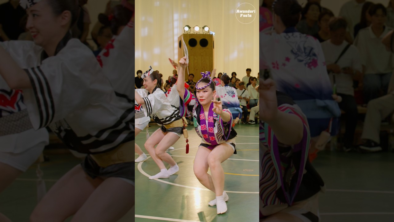 【阿波踊り】女法被のヴァリエーションといえばこの踊り子さん！娯茶平モモ