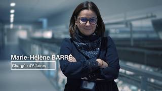 Devenir Chargé Daffaires Chez Matra Électronique