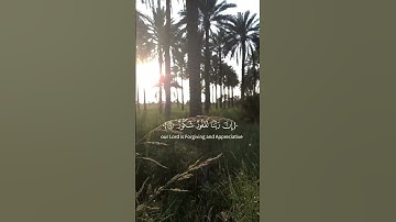 سورة فاطر (34،35)_ عمر ضياء الدين