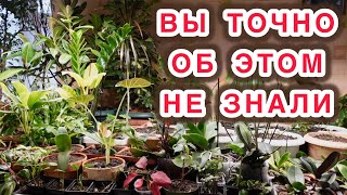 картинка: Нет сил больше молчать... пора все рассказать! Вся правда о рекламе