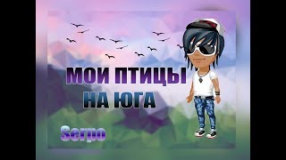 Обложка SERPO МОИ ПТИЦЫ НА ЮГА АВАТАРИЯ ZM КЛИП ПАРОДИЯ Скачать SERPO МОИ ПТИЦЫ НА ЮГА АВАТАРИЯ ZM КЛИП ПАРОДИЯ