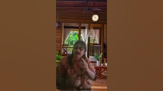 Download lagu #fypviral Hargo Dumilah 🏦. Didi Kempot. #Coverlipsing. #Pujihartono 🙏♥️