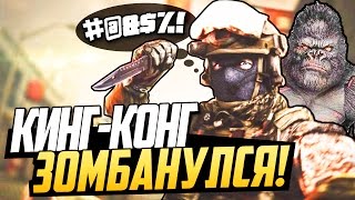 картинка: CS:GO (Zombie Mod) - Кинг-Конг зомбанулся!
