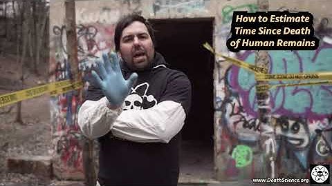 Estimating the Time Since Death | Death Science