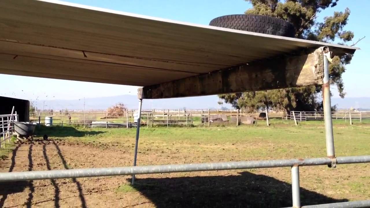Bad Horse Shelter Designs - Bad Gate Placement - Horse Sense - Rick Gore Horsemanship