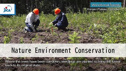 【Nature Environment Conservation】Eco-DRR (Ecosystem-based disaster risk reduction)