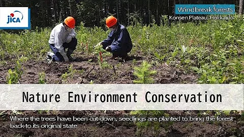 【Nature Environment Conservation】Eco-DRR (Ecosystem-based disaster risk reduction)
