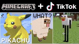 The Coolest & Smartest Tik Tok Minecraft Videos Compilation! (Part 6)