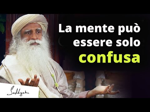 Video: Una persona può essere confusa?