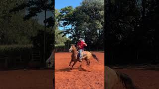 #spin #spinning #quartodemilha #abqm #cowboys