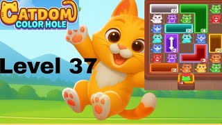 Catdom color hole level 37 solution and walkthrough for gameplay 