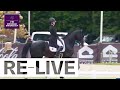 🔴 LIVE | Grand Prix Special - FEI Dressage Nations Cup™ 2024 Compiègne (FRA)