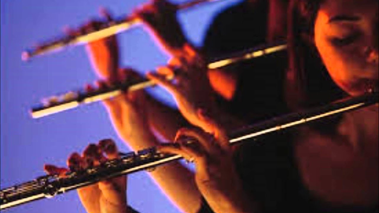 Оркестр флейтистов. Международный фестиваль Виртуозы флейты. Флейта в оркестре. Оркестровая поперечную флейту. Флейта в симфоническом оркестре.
