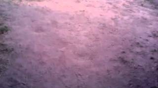 Thomas Dvd Collection Part 1