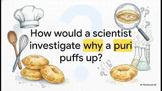 Exploring the Investigative World of Science - Chapter 1, Science, Class 8 CBSE