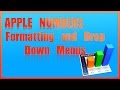 Apple Numbers | Formatting & Drop Down Menus