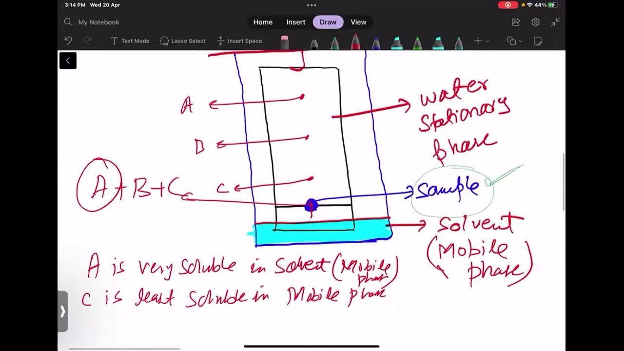 Explanation of paper chromatography, Thin Layer Chromatography and Gas