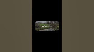 وَمَا تِلْكَ بِيَمِينِكَ يَا مُوسَىٰ|سورة طه.