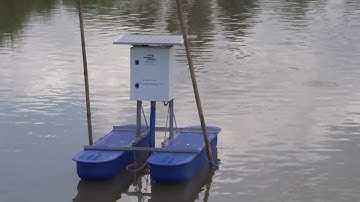 Lắp đặt thiết bị quan trắc và cảnh báo chất lượng nước ao nuôi cá tự động tại Mái Dầm