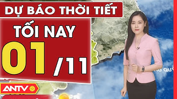 Dự báo thời tiết tối nay 1/11: Bão số 7 suy yếu, Bắc Bộ trở lạnh về đêm, có nơi trời rét | ANTV