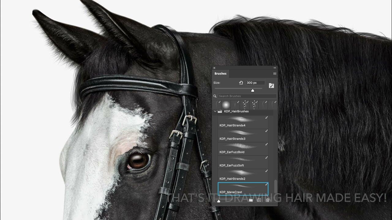 Horse Hair Brush Set for Photoshop - Live Demo 