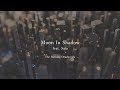 The Burning Deadwoods / Moon In Shadow feat. Sala 【Official Lyric Video】
