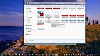 Personal Anti Malware (Rogue)