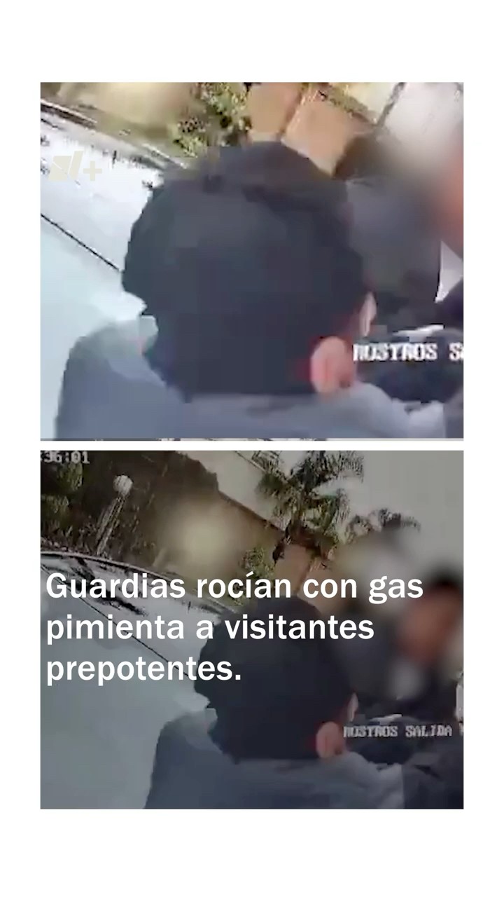 Guardias de seguridad rocían con gas pimienta a visitantes prepotentes - N+ #shorts