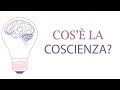 Cos la coscienza insight la scienza della mente  ep 5