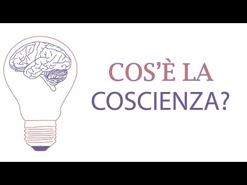 Video: Come Sono Collegati La Coscienza E Il Cervello? - Visualizzazione Alternativa