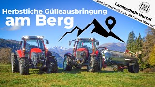 Herbstliche Gülleausbringung am Berg: Lindner Lintrac, Reform Muli, VakuTec Gülletechnik