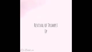 Dr Dope Inhliziyo remake By Dj Bahh Sa 