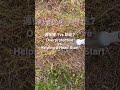 自然農で水やり、する?しない?夫婦の意見が分かれました。#Shorts #naturalfarming #自然農