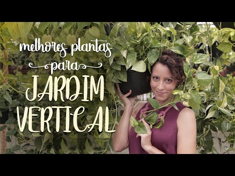 Vídeo: O Guia Do Cara Para Jardinagem Interna E Tornar Sua Casa Mais Verde