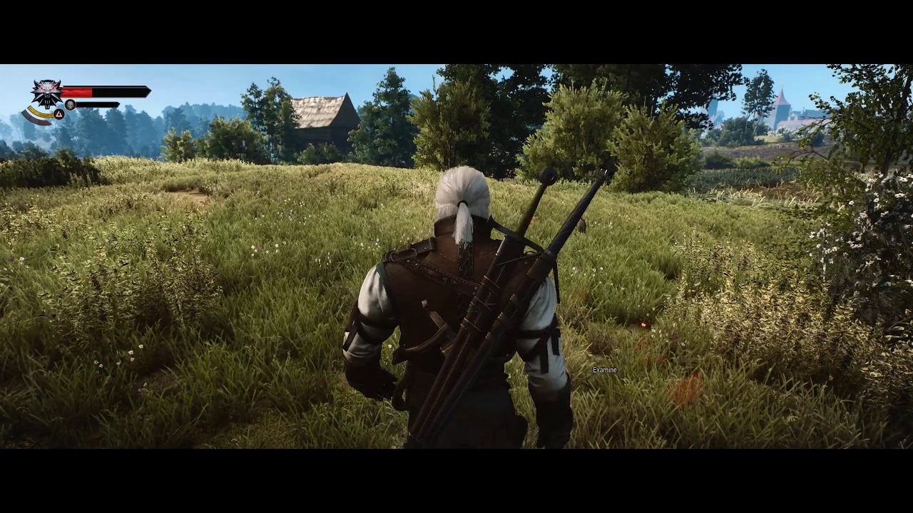Установка мода Random Encounters для The Witcher