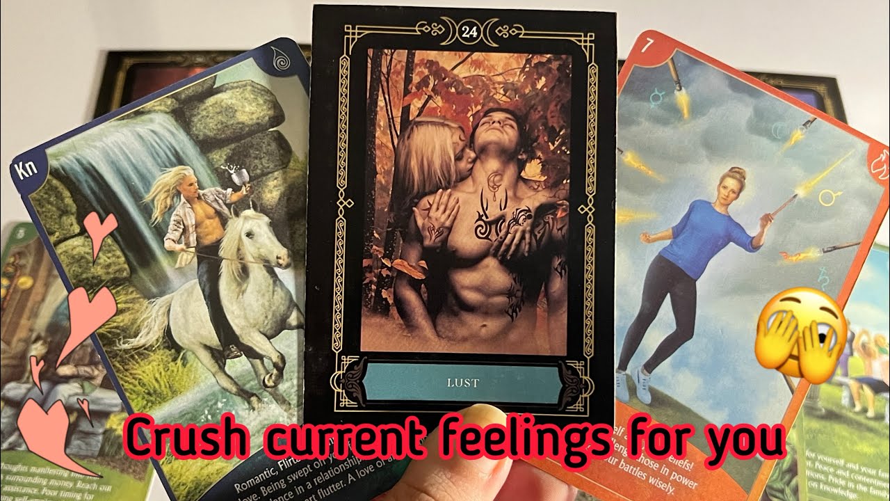 Crush Current Feelings for you ️‍🔥 Crush current feelings | Hindi tarot ...