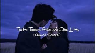 Teri Hi Tamanna || Aakho Me Bhar Li Hai || Ban Jayiye Is Dil Ke Mehama || 90s Old Hindi Song #90s 🥵