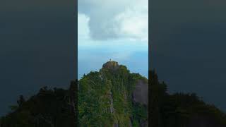 Hiking in the Forest of Mononoke Princess, Yakushima, Japan 🇯🇵 #japan #mountains #nature
