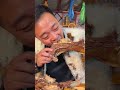 أبى حشحوشة خسر في المعركة 😮😮 !! #food #youtubeshorts