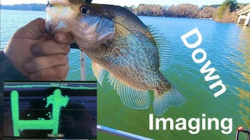 No Side Imaging? No Problem!!! How to find fish with 2D and DownScan!