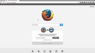 Celebrity Installing Firebug Net Worth