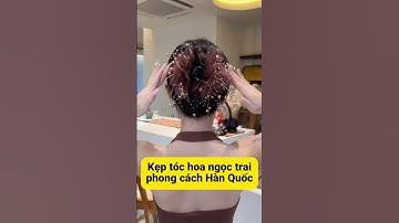 2  Kẹp tóc phong cách Hàn Quốc