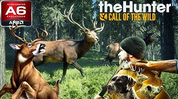 theHunter: Call of the Wild (AMD A6, Radeon R4 Graphics) Low End PC (512MB)